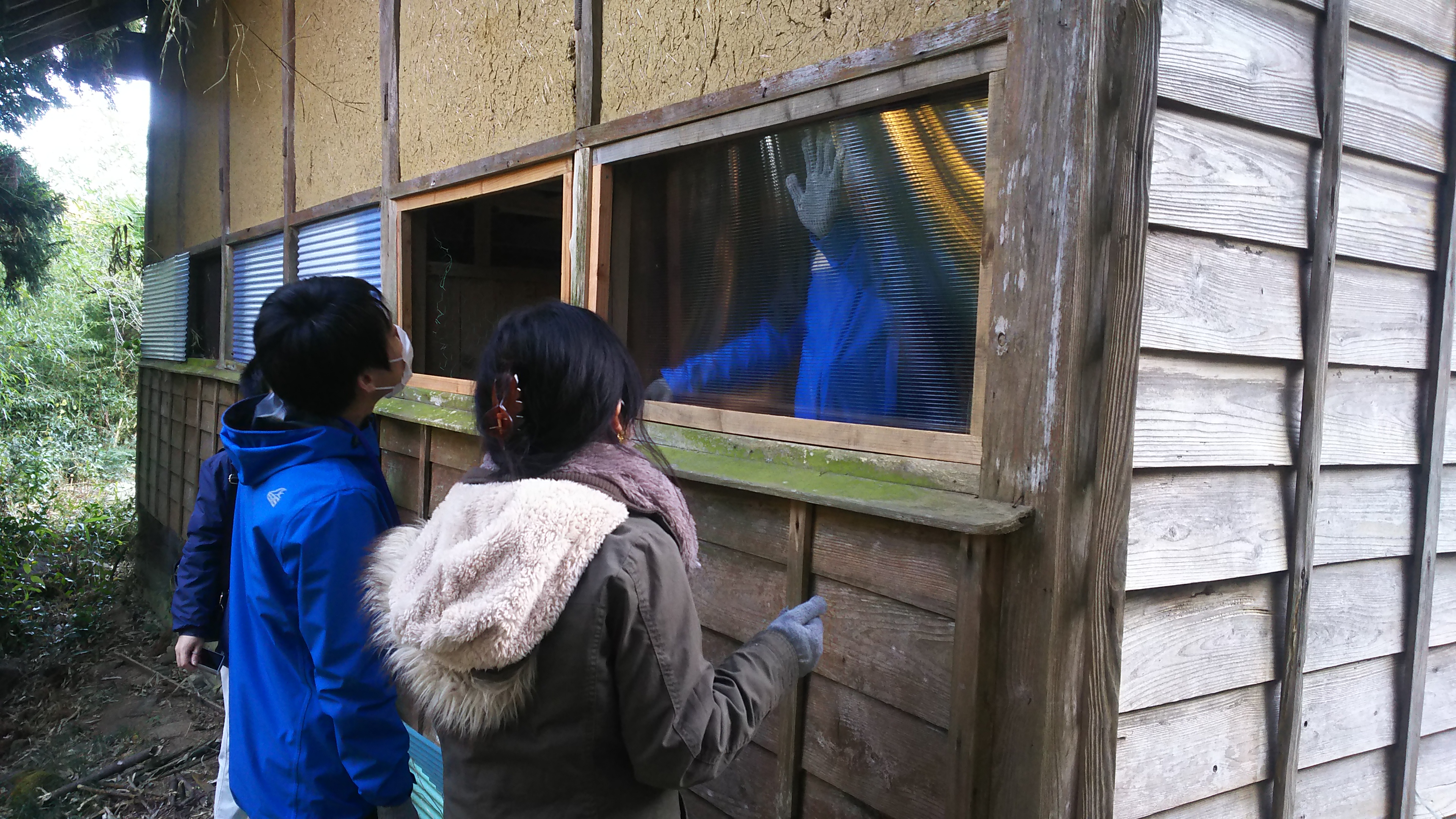 20 馬小屋改修ワークショップ9